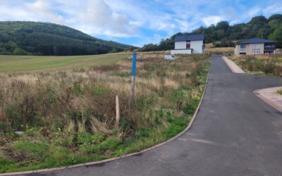Neubauplanung mit Bauleitung in Merxheim